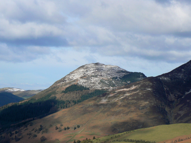 Dodd Dodd